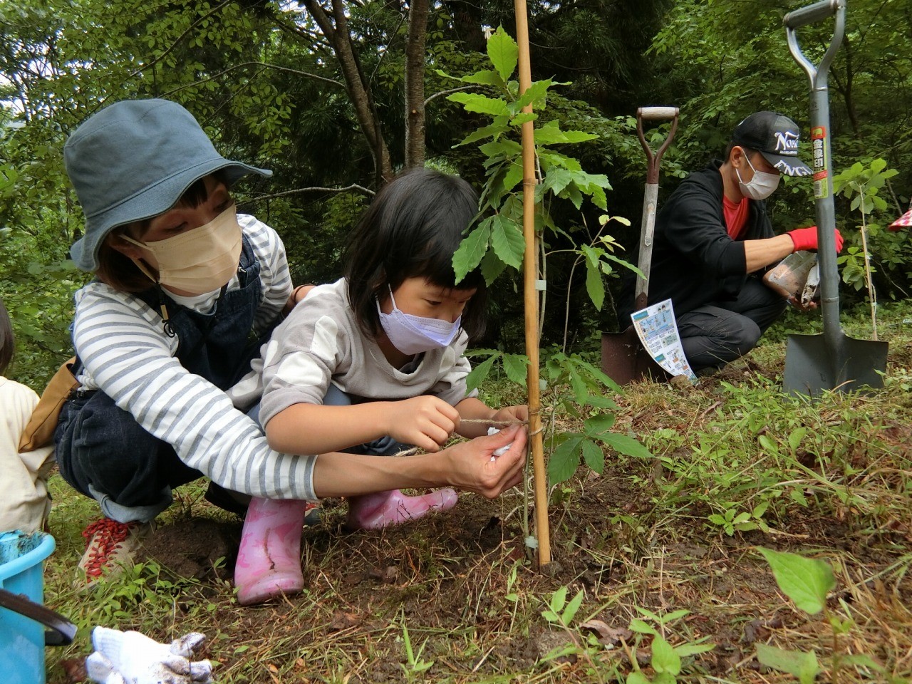 森林の保全に向けた支援