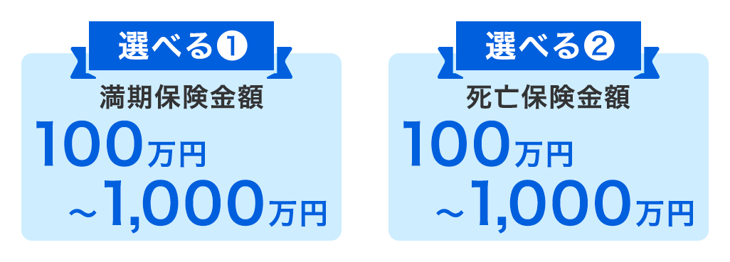 保障額（死亡保険金額100万～1,000万円）や将来受け取る金額（満期保険金額100万～1,000万円）が選べる