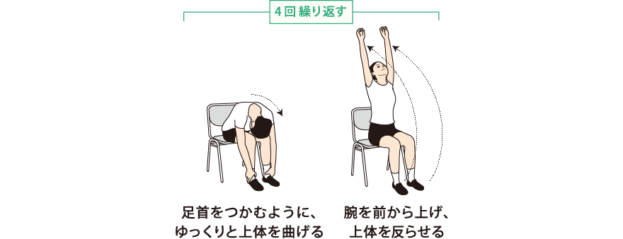 体を前後に曲げる運動 説明図