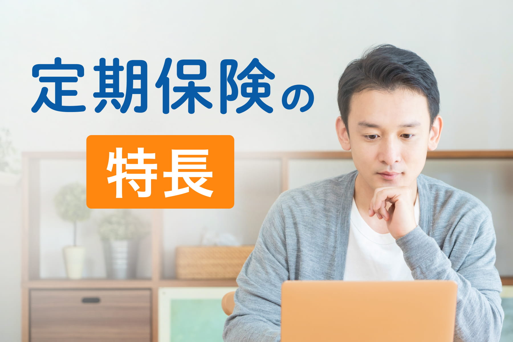 定期保険の特長