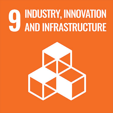 9_INDUSTRY,INNOVATION AND INFRASTRUCTURE