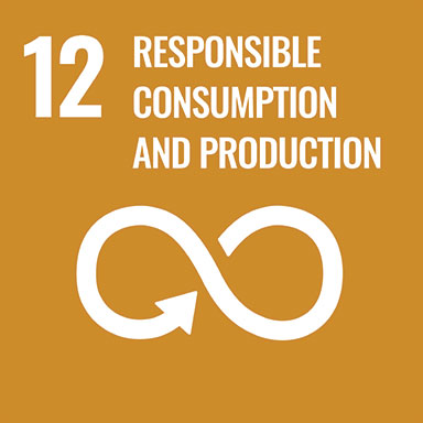 12_RESPONSIBLE SONSUMPTION AND PRODUCTION