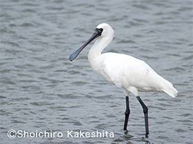 Support for biodiversity conservation