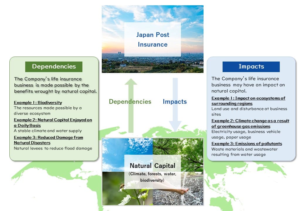 Dependencies Impacts