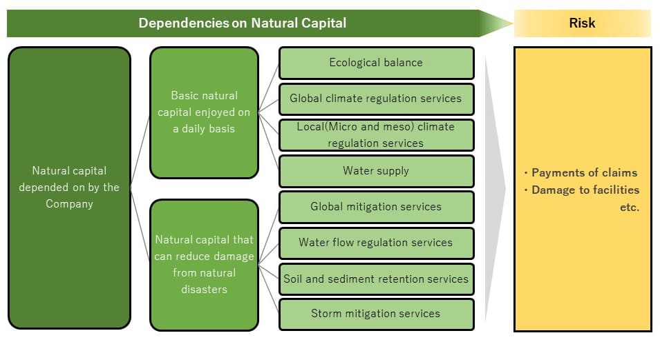 Dependencies on Natural Capital Risk