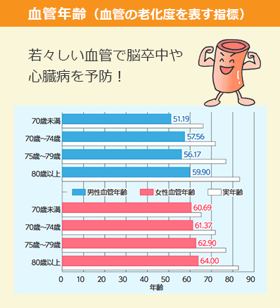 血管年齢 グラフ