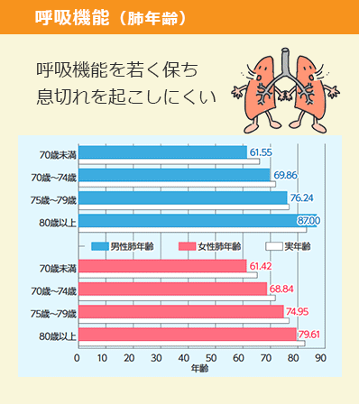呼吸機能 グラフ