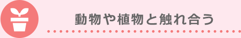 動物や植物と触れ合う