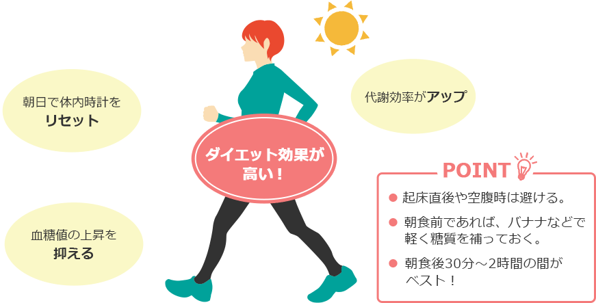 POINT 起床直後や空腹時は避ける。 朝食前であれば、バナナなどで軽く糖質を補っておく。 朝食後30分～2時間の間がベスト！