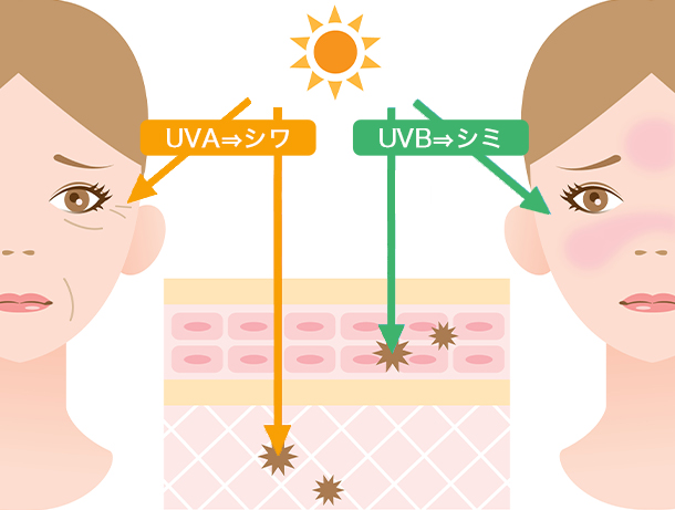 紫外線による健康への影響とは？