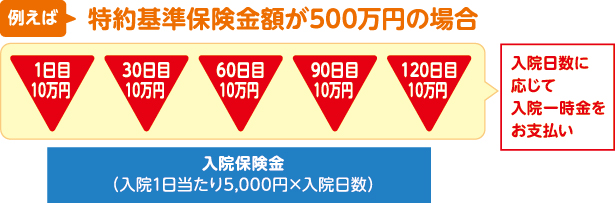 例えば、特約基準保険金額が500万円の場合、入院日数に応じて入院一時金（1日目10万円、30日目10万円、60日目10万円、90日目10万円、120日目10万円）をお支払い。さらに入院保険金は入院1日あたり5,000円かける入院日数をお支払い