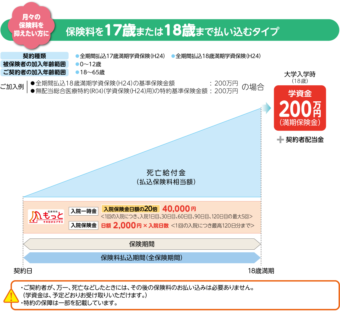 保険料を17歳または18歳まで払い込むタイプ