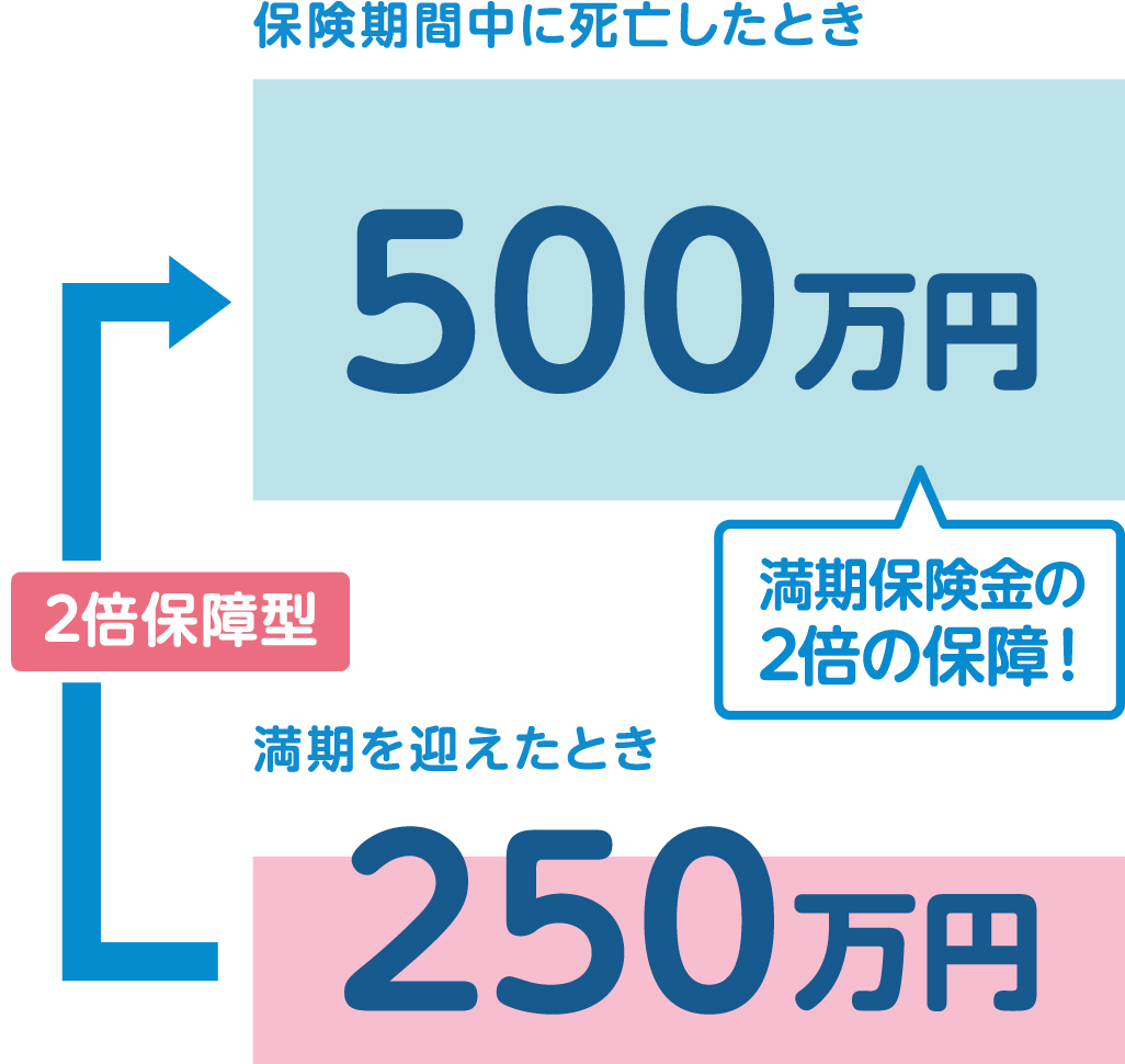 満期保険金250万円 保険期間中に死亡したときは満期保険金の2倍の500万円を保障！