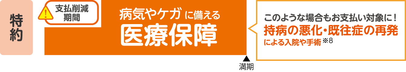 養老保険 かんぽにおまかせ（満期タイプ）の特長