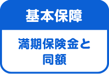 養老保険 新フリープラン かんぽ生命保険