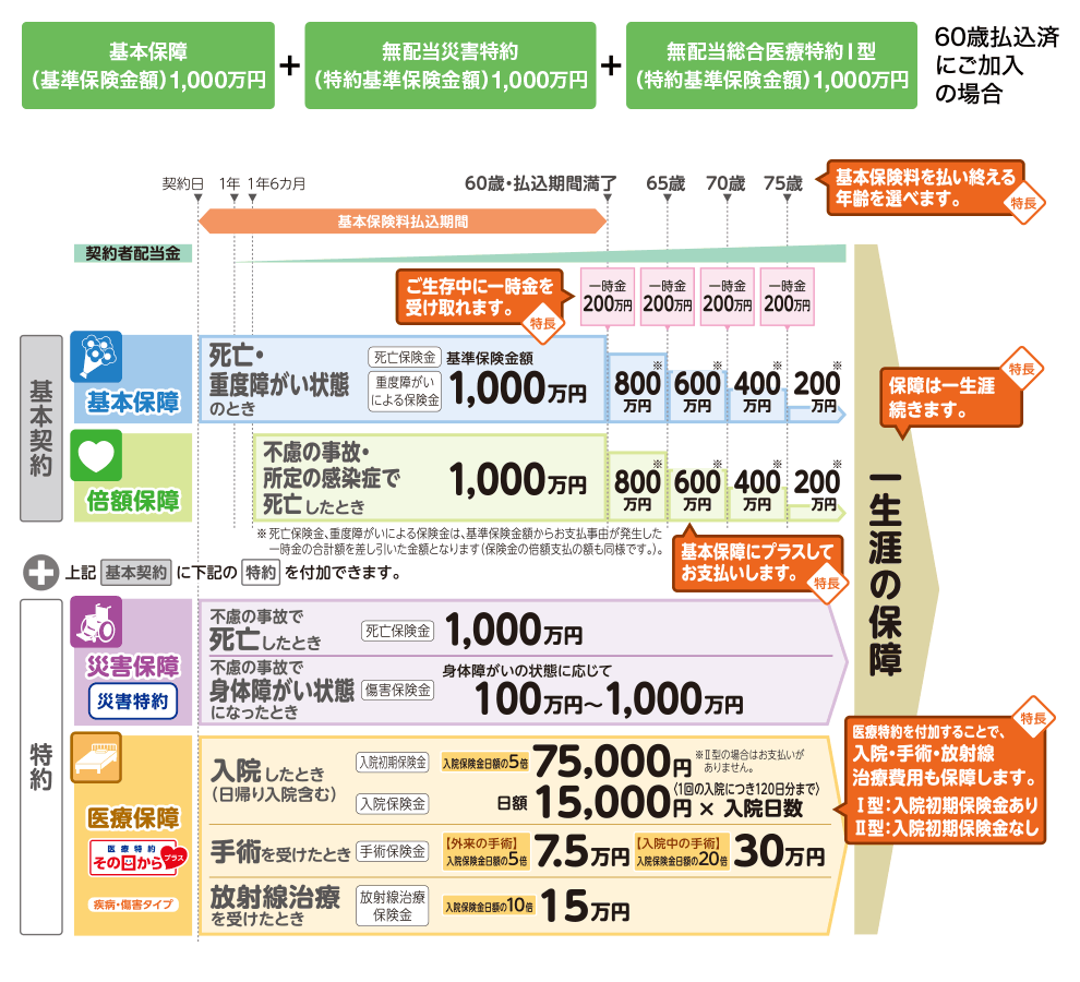 https://www.jp-life.japanpost.jp/products/guide/lineup/long-life/assets/img/i_prd_ssn_osm_hosh_l.gif