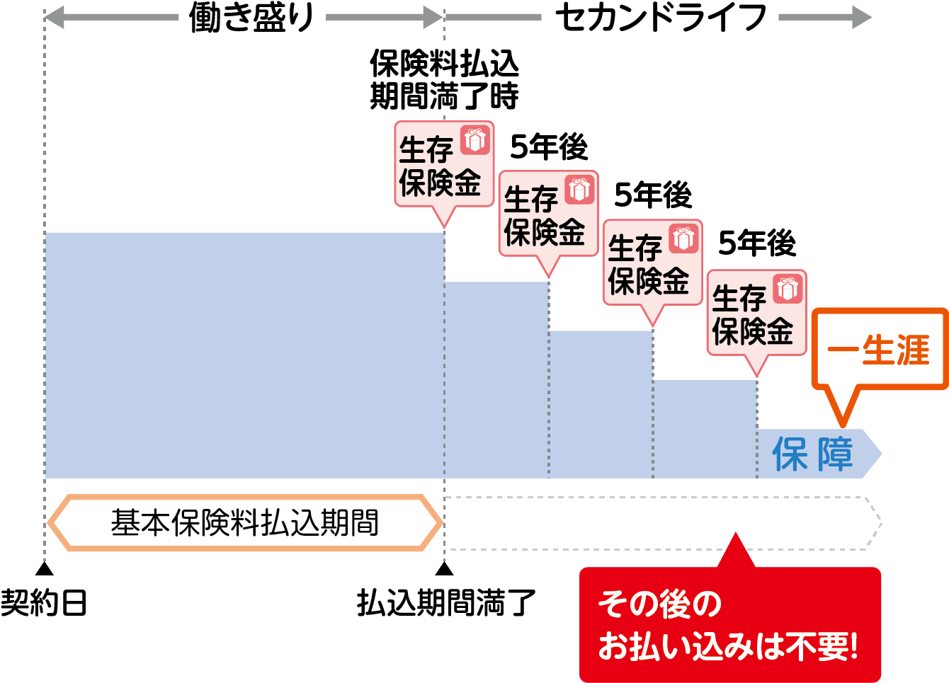 保障は一生涯！＋ご生存中に一時金を4回受け取れます。