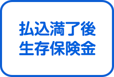 払込満了後は生存保険金をお支払い