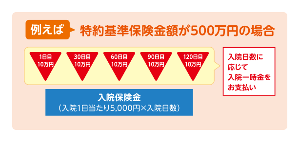 入院1日目に入院初期保障として入院保険金日額の5日分を上乗せ