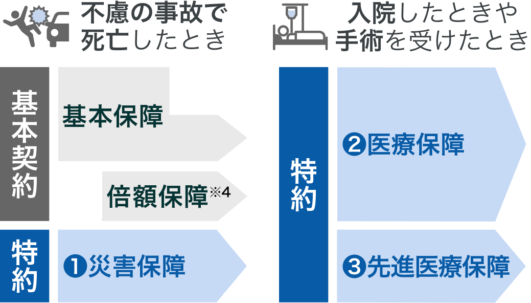 終身保険 - 新ながいきくん｜かんぽ生命保険
