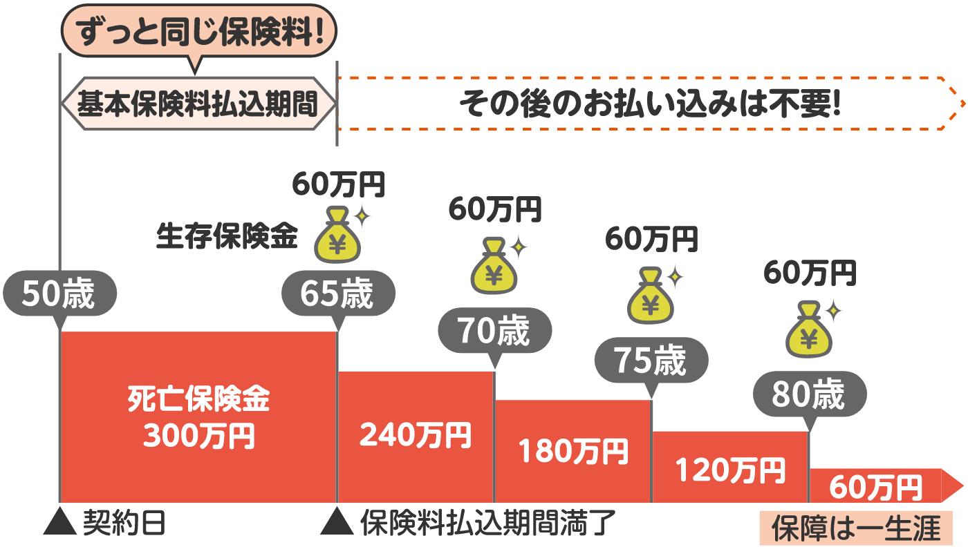 基本保険料払込期間はずっと同じ保険料！その後のお払込みは不要です。