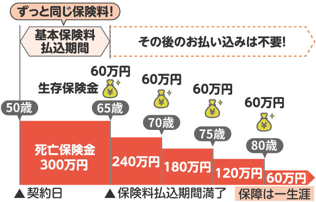 基本保険料払込期間はずっと同じ保険料！その後のお払込みは不要です。