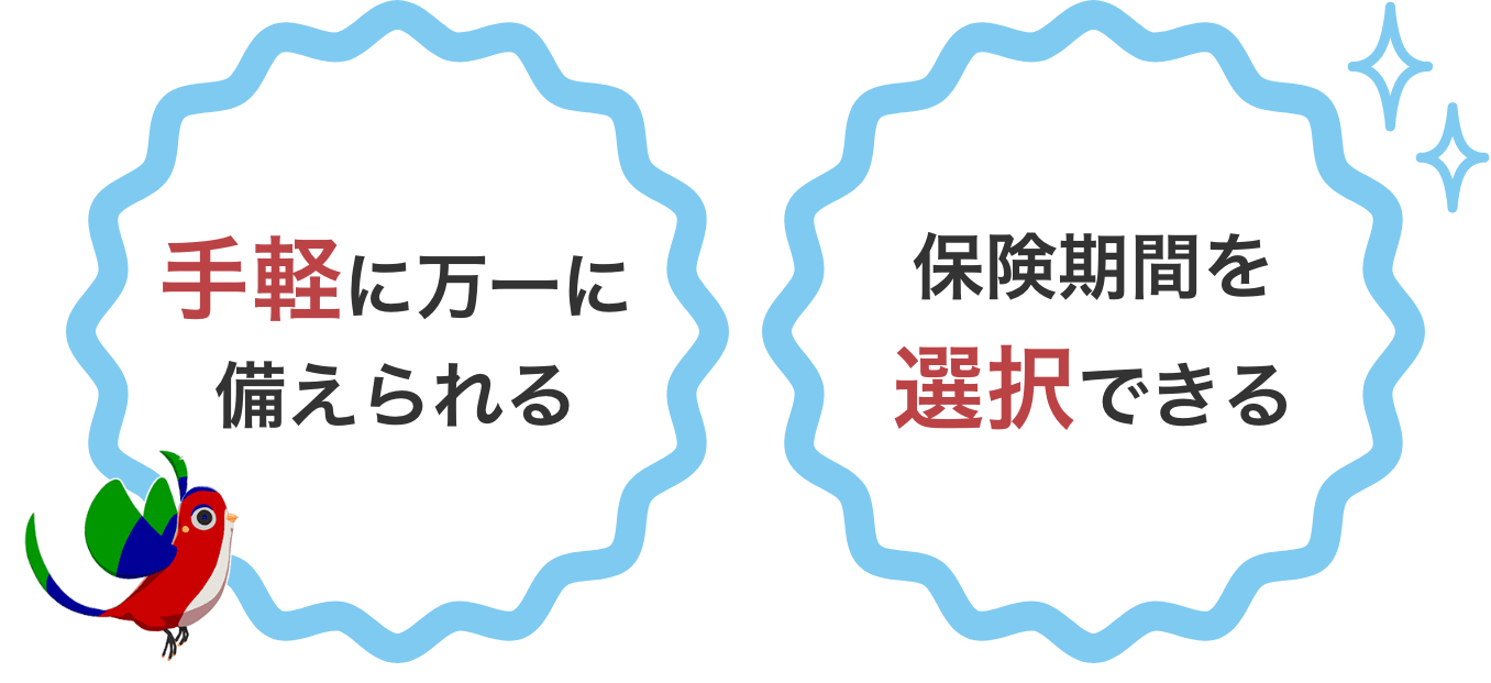 手軽に万一に備えられる。保険期間を選択できる。