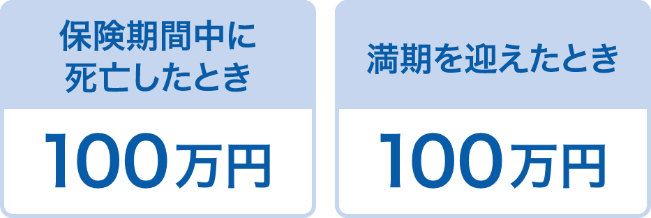 保険期間中に死亡したときは100万円、満期を迎えたときは100万円を受け取れます。