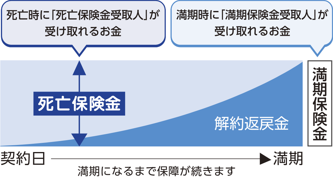 契約日から満期になるまで保障が続きます