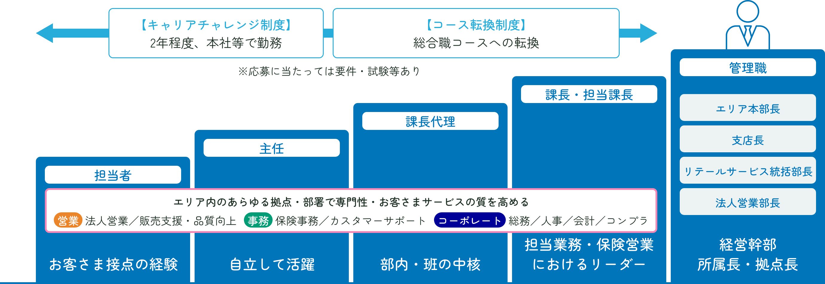 企画管理・法人営業コースの<span class="inline-block">キャリアパスイメージ</span>画像